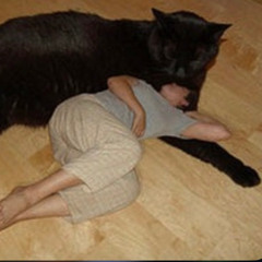 mis últimos 10 meses