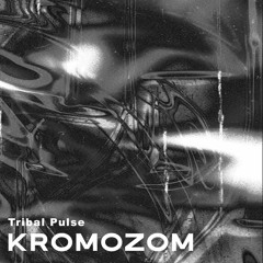 KROMOZOM ׀ Tribal Pulse (OUT SOON ON...)