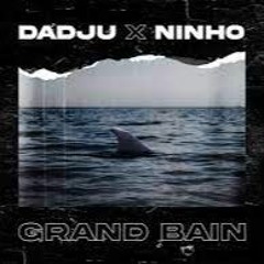DADJU - Grand Bain ft. Ninho (mix)