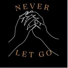 Quentin Vanoss - never let go