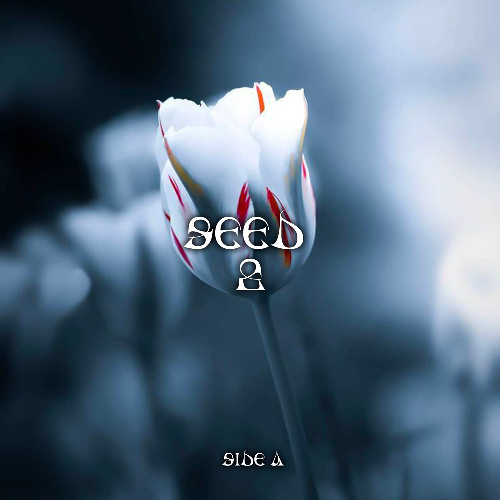 Satin - Critical Attack [SEED02]