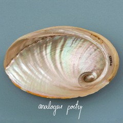 pečiukas | analogue poetry EP