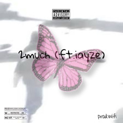 2much ft iayze (mixed by @expilled)