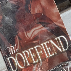 Skrillex or 21 piolets