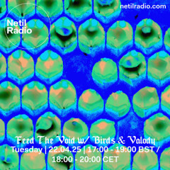 Feed The Void w/ Birds & Valody - 22nd April 2025