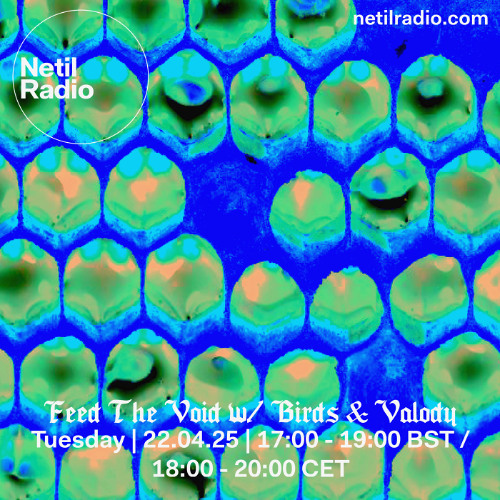 Feed The Void w/ Birds & Valody - 22nd April 2025