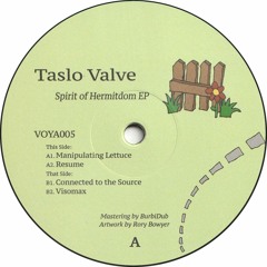Taslo Valve - Spirit of Hermitdom EP (VOYA005)