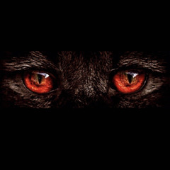 Spazzboyyy X Danny X Drac -Time clicking