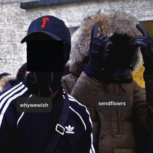 GREYFOX