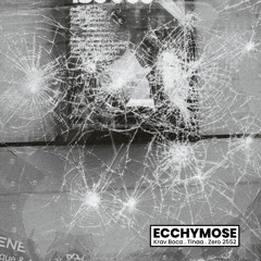 Ecchymose Ft. Tinaa