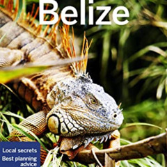 [Free] EBOOK 💓 Lonely Planet Belize 8 (Travel Guide) by  Paul Harding,Ray Bartlett,A