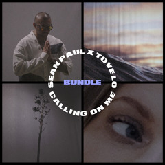 Calling On Me (Jay Mac Remix) [feat. Tove Lo]