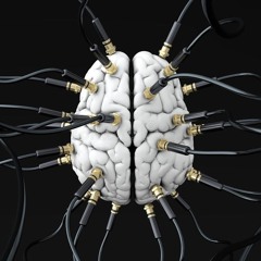 Dj Perroz • Rhythm Of The Mind