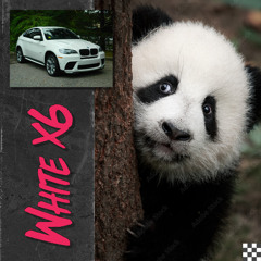 WHITE X6