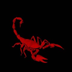 Scorpion - BlackNoise DJ