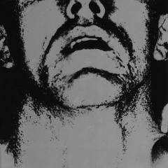 Still You Follow Blindly