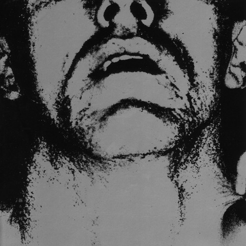 Still You Follow Blindly