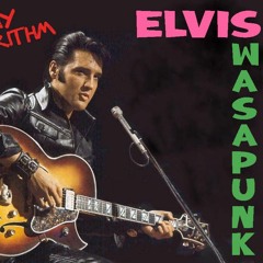 Elvis Was A Punk MP3