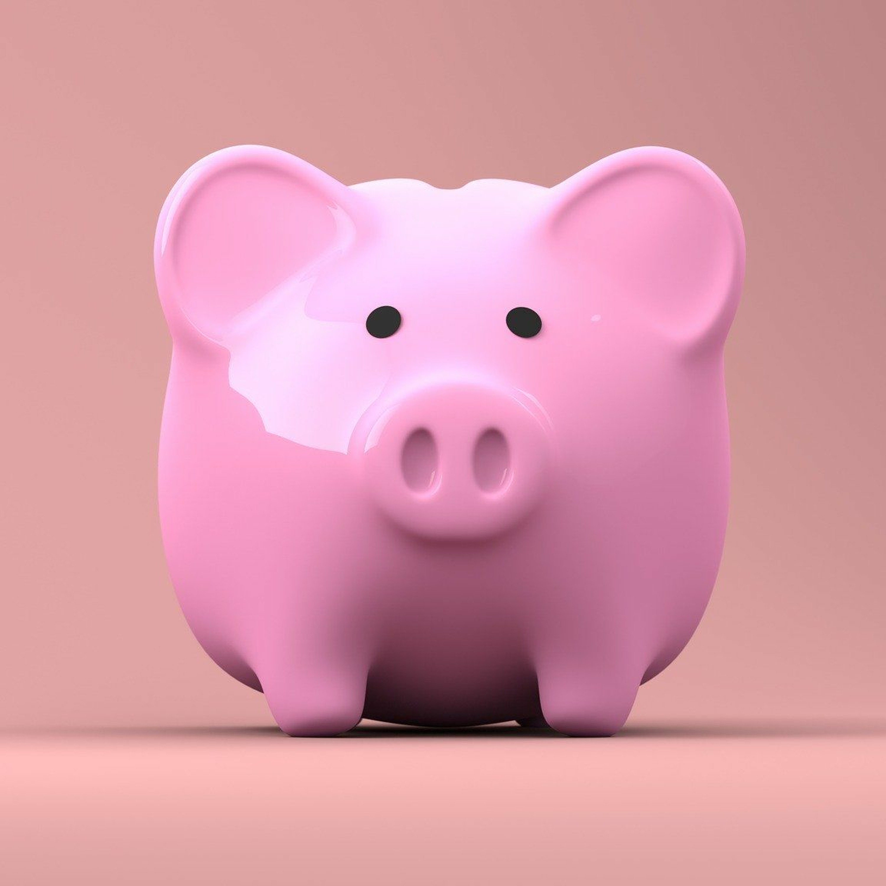 FINANCES | La règle 50-20-30 pour bien gérer ses finances episode artwork
