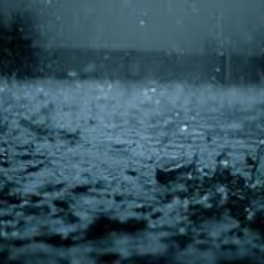 Spring Lavender Rain