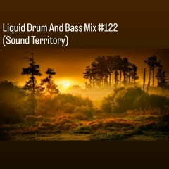 Liquid Drum And Bass Mix #122 (Sound Territory)