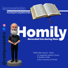 Homily-17 Sunday of Ordinary Time