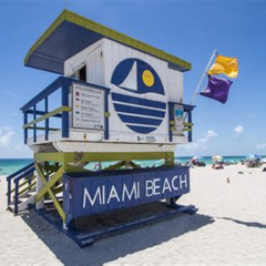 Best Things To Do In Miami With Friends Tours Reviews