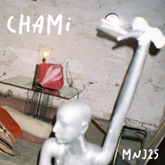 MNJ25 - Chami