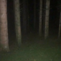 Dark