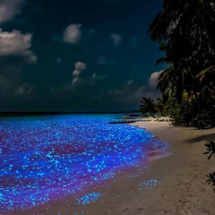 Im Him! (prod. Zayskillz X 808dummy X Khan!)