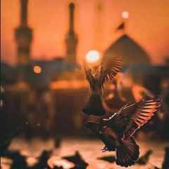 ذا اَلحُبُّ سَلَمْ | آدم عليّ | بدون موسيقى.