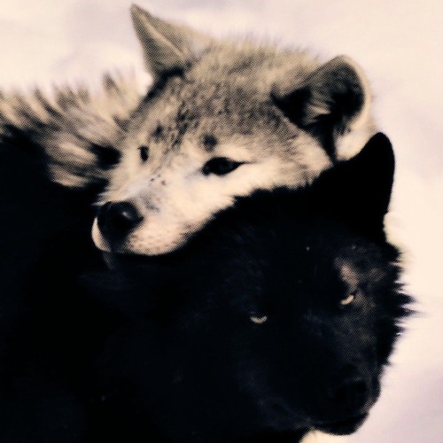 •SLOWED•Mama's boy - Dominic Fike