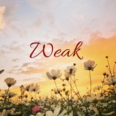 Weak - Larissa Lambert (Cover) // Andini Ghanifia