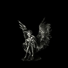 Birdman Mario Roque-Ary.he (Remix)