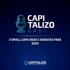 3 SMALL CAPS BOAS E BARATAS PARA 2024