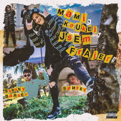 Mami, koukej, jsem frajer! (feat. SKiNNY BARBER)