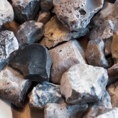 Westerheide - September 2021