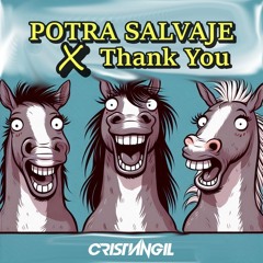 Potra Salvaje, Thank You (Cristian Gil Mashup)