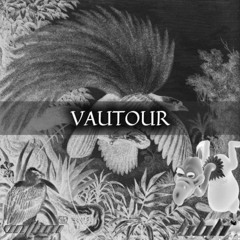 VAUTOUR (feat. VNThni)
