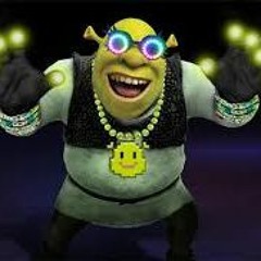 05 This Is My Swamp Now