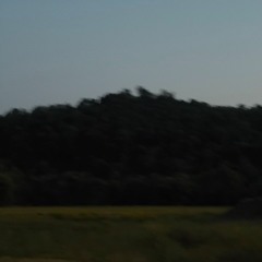 I Wish I Was Like You