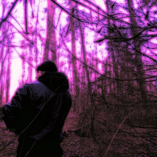 Tellerwäscher - Flying Zer0̸s