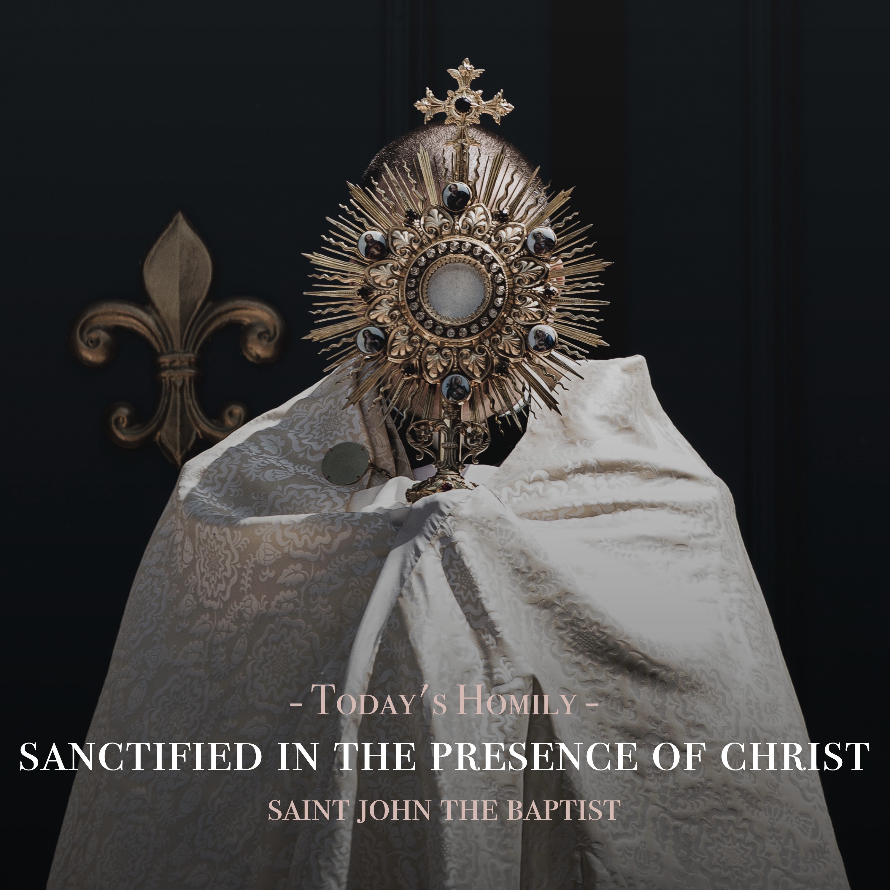 Fr. Barry Braum - Homilies and Conferences