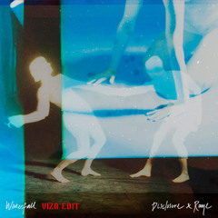 Waterfall (VIZN Remix)