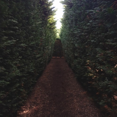 Gladys nostalgic tunes