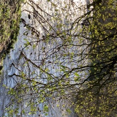 Liminal spaces ver1 (away with the fae)