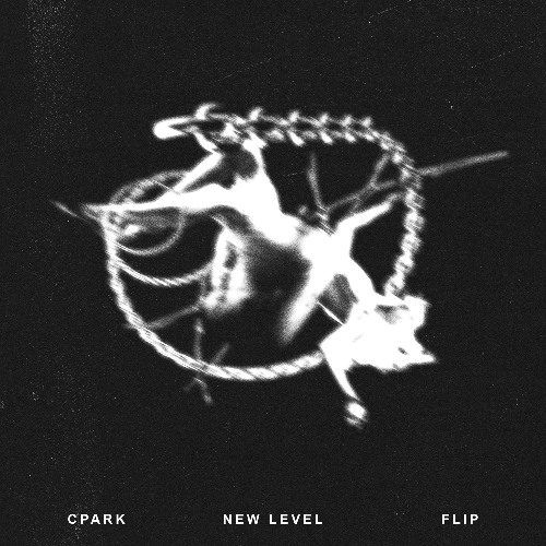 NEW LEVEL - A$AP FERG [CPARK FLIP]