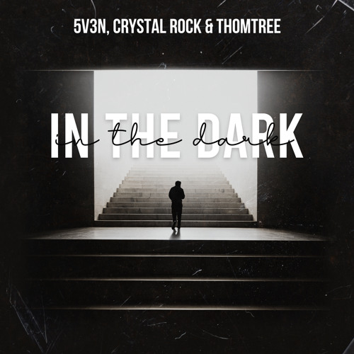In the Dark (feat. Blaikz)