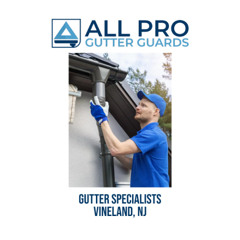 Gutter specialists Vineland, NJ