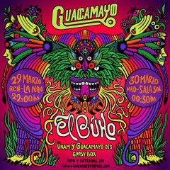 Kazike: Warmup para : El Buho. Guacamayo